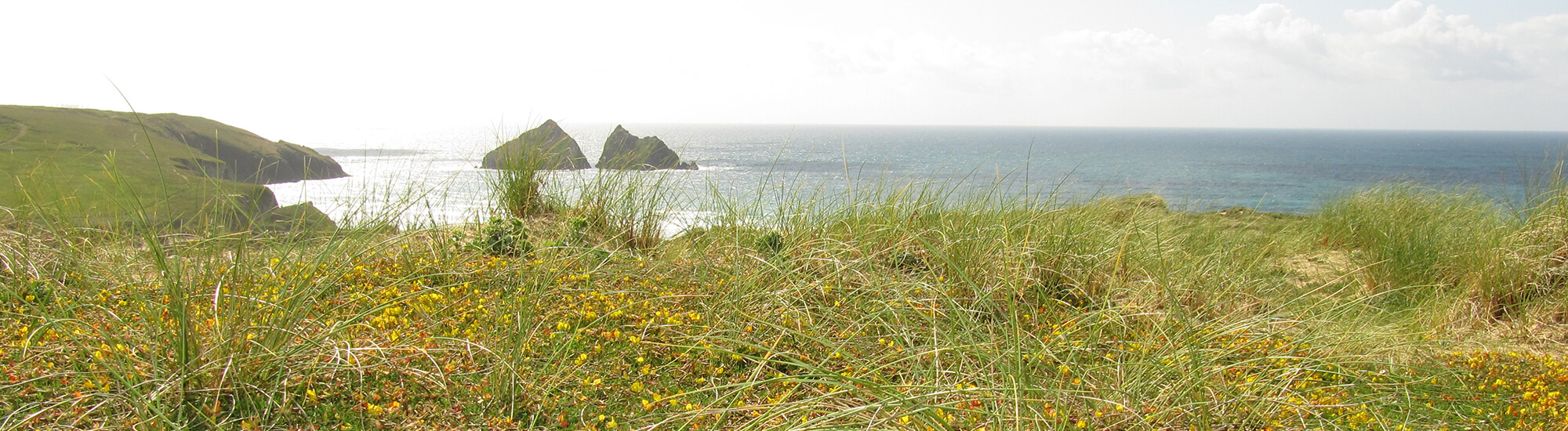 holywell holiday prices - Prices