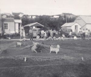 The Meadow Sports Day about us