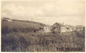 The Meadoe about us